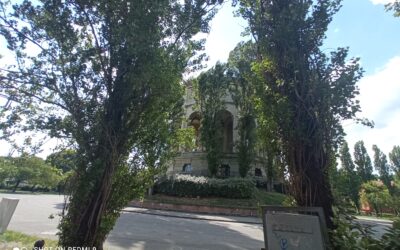 STANZE IN AFFITTO per Studenti